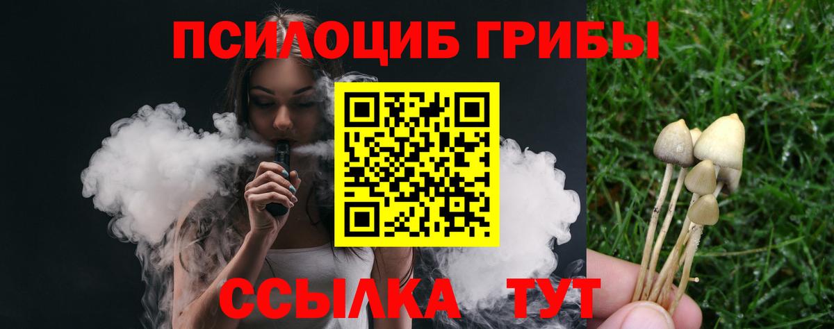 Псилоцибиновые грибы GOLDEN TEACHER  Вход с VPN  Галлюциногенные грибы Psilocybine cubensis  Севастополь 